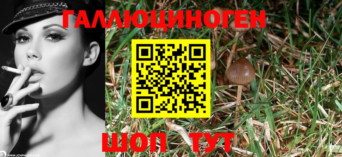 Абакан  Псилоцибиновые грибы Psilocybe  Галлюциногенные грибы ЛСД  Вход с VPN 